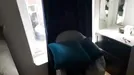 Rum att hyra, Gärdet/Djurgården, Starrängsringen